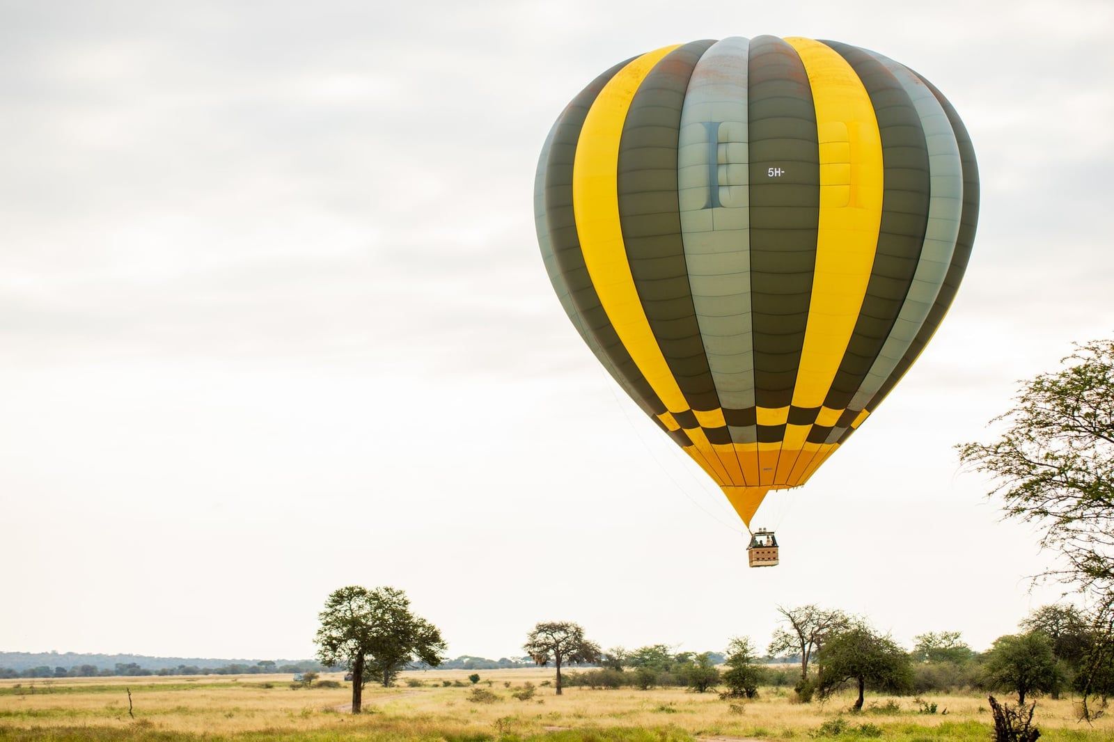 Una mongolfiera a strisce fluttua sopra la prateria punteggiata di alberi nel Parco Nazionale di Tarangire.