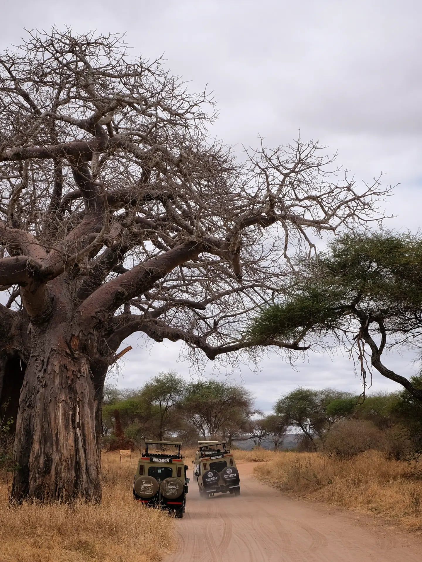 Zicht op Nationaal park Tarangire