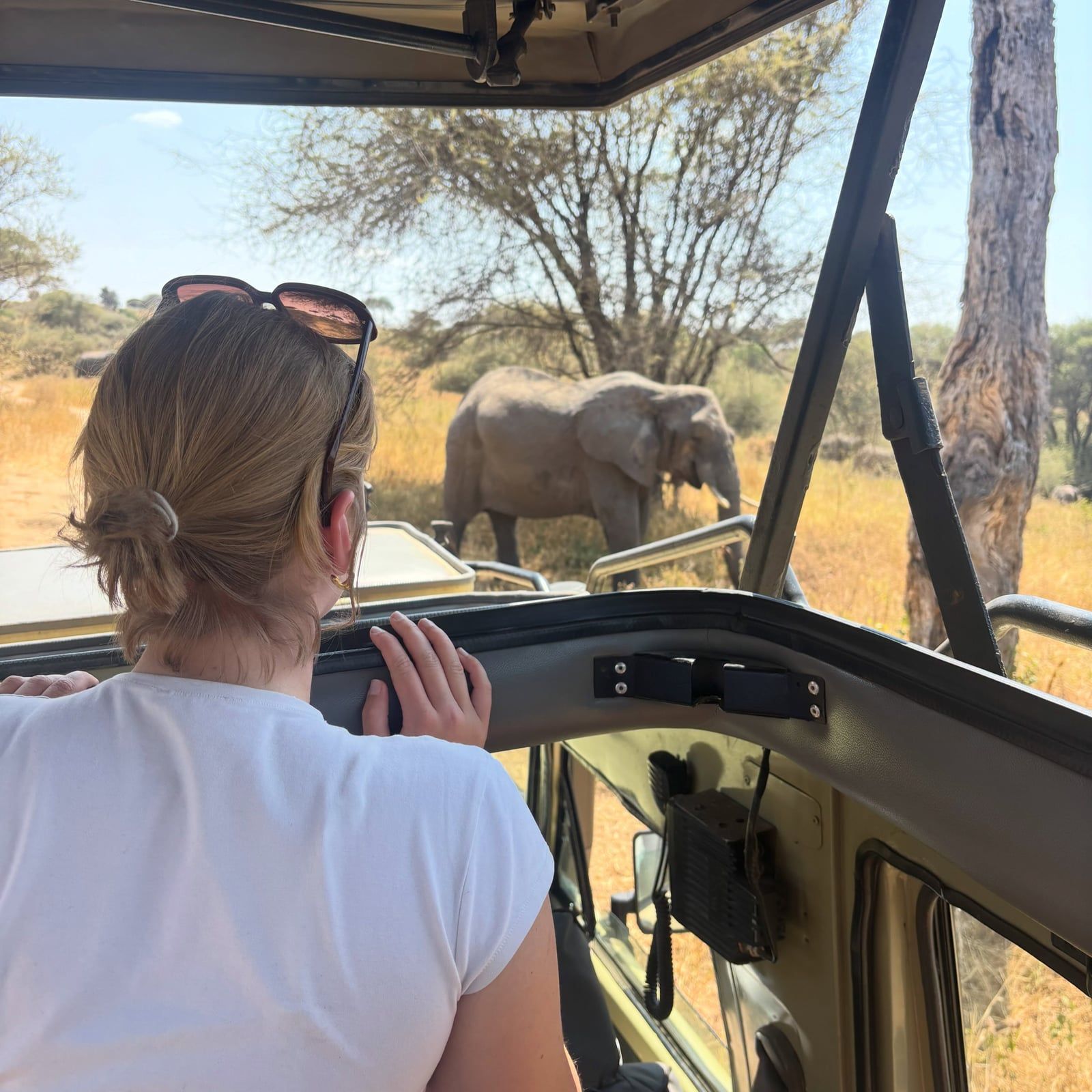 Besucherfoto einer Tarangire-Nationalpark Tour