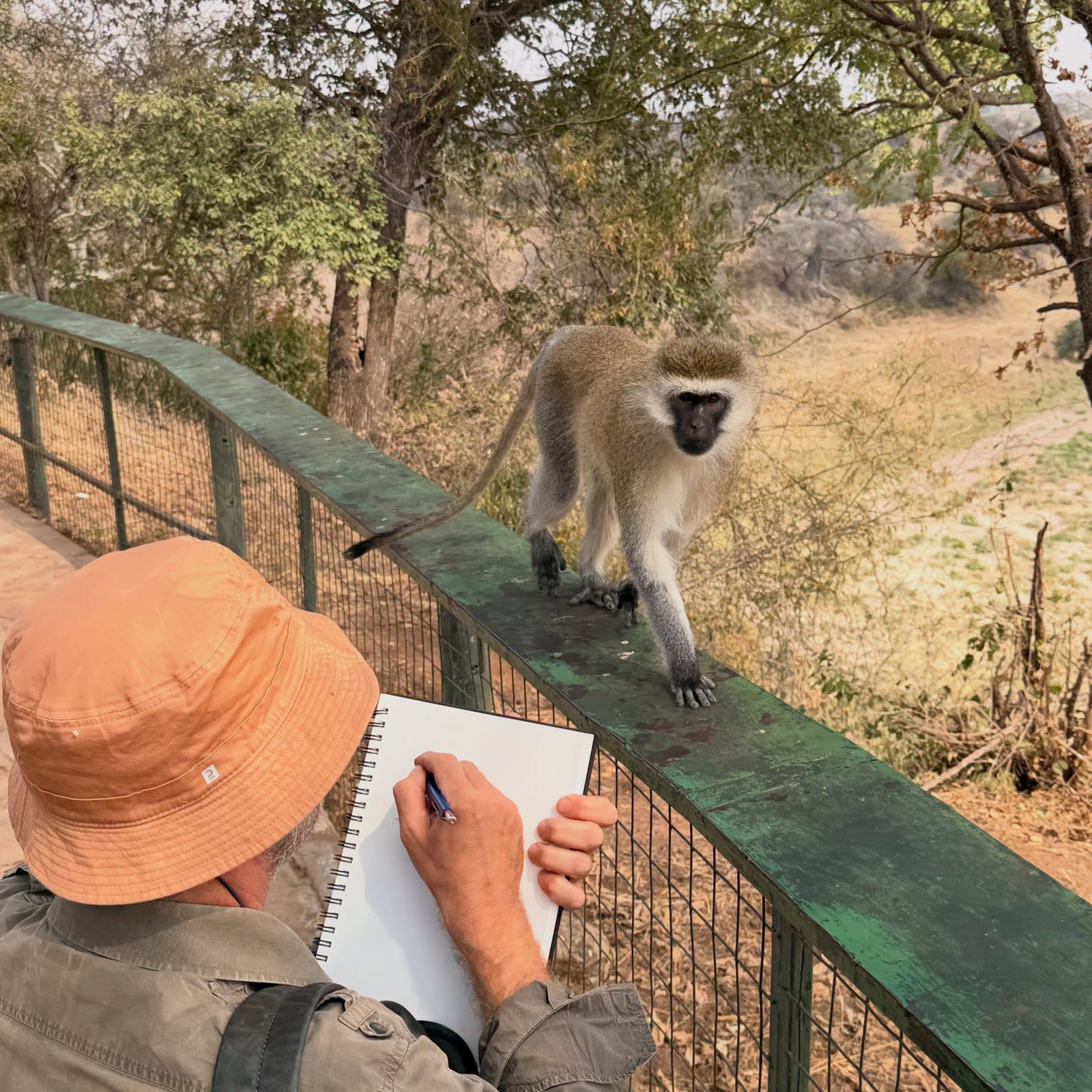 Besucherfoto einer Tarangire-Nationalpark Tour