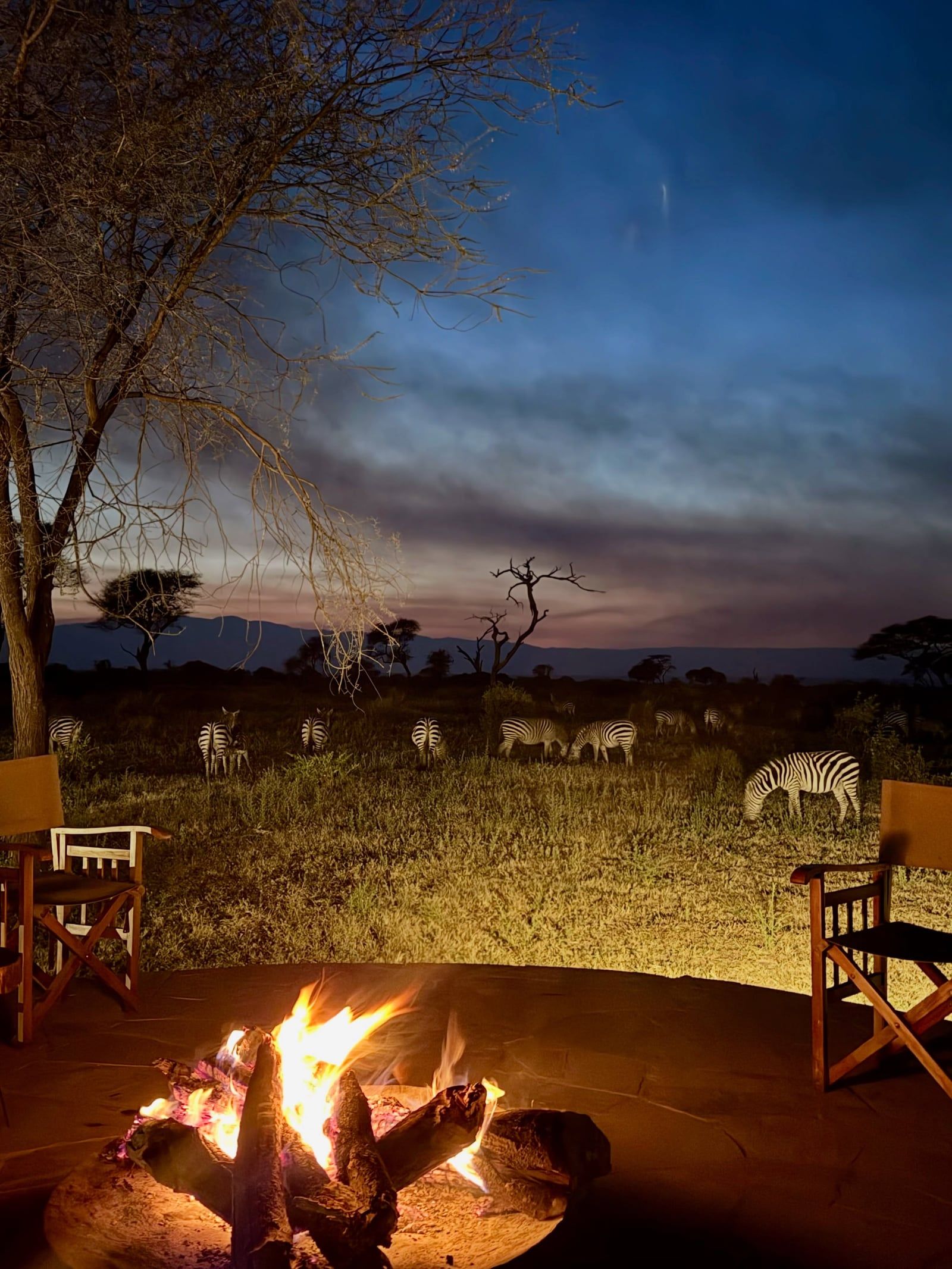 Besucherfoto einer Tarangire-Nationalpark Tour