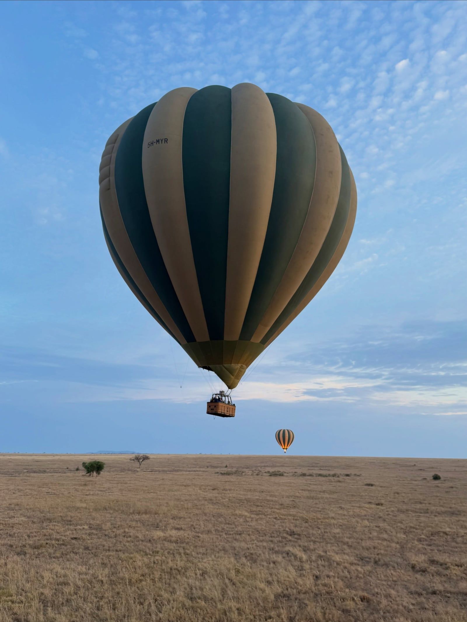Besucherfoto einer Tarangire-Nationalpark Tour